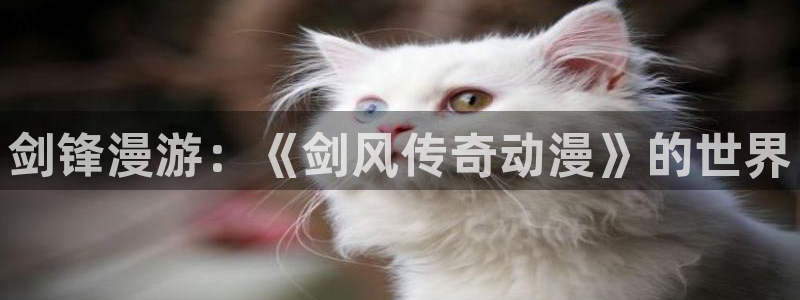 动漫作品大全:剑锋漫游:《剑风传奇动漫》的世界