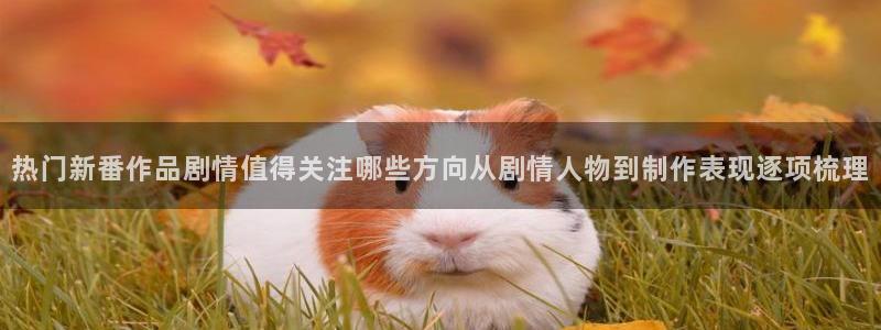 最新动漫排行:热门新番作品剧情值得关注哪些方向从剧情人物到制作表现逐项梳理