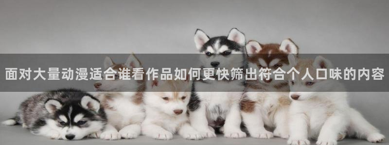 热门连载动漫:面对大量动漫适合谁看作品如何更快筛出符合个人口味的内容