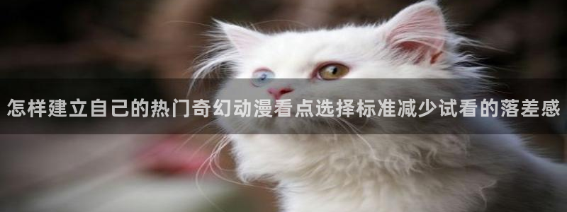 动漫更新时间:怎样建立自己的热门奇幻动漫看点选择标准减少试看的落差感