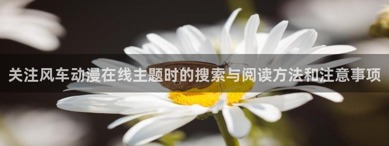 国产动漫大全:关注风车动漫在线主题时的搜索与阅读方法和注意事项