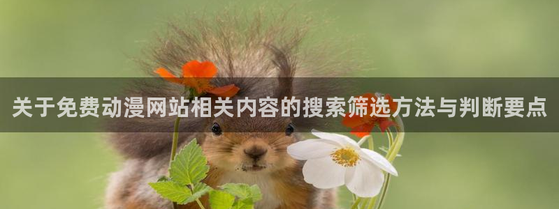 动漫最新更新：关于免费动漫网站相关内容的搜索筛选方法与判断要点