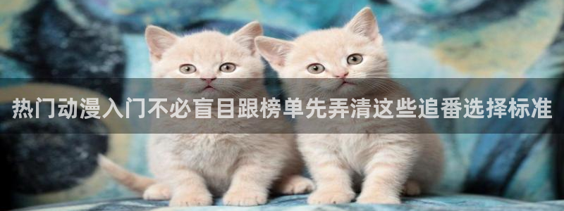 完结动漫:热门动漫入门不必盲目跟榜单先弄清这些追番选择标准