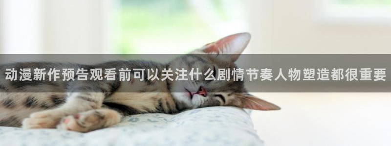 动漫在线观看网站:动漫新作预告观看前可以关注什么剧情节奏人物塑造都很重要