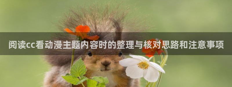 动漫收藏榜:阅读cc看动漫主题内容时的整理与核对思路和注意事项