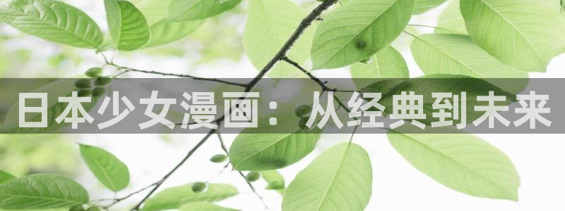 动漫完结:日本少女漫画:从经典到未来