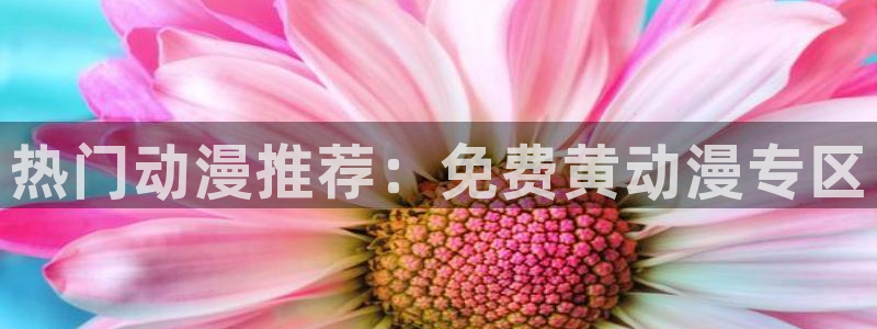 动漫推荐网:热门动漫推荐:免费黄动漫专区