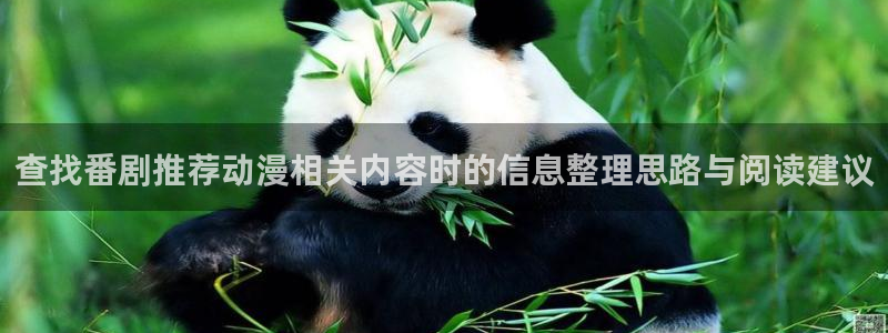 恋爱动漫推荐:查找番剧推荐动漫相关内容时的信息整理思路与阅读建议
