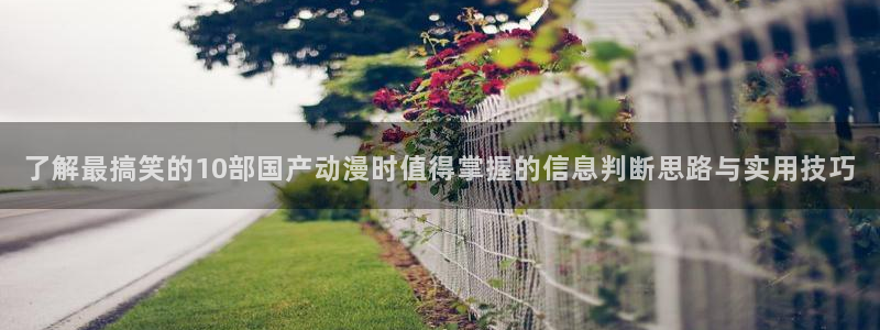 动漫推荐：了解最搞笑的10部国产动漫时值得掌握的信息判断思路与实用技巧